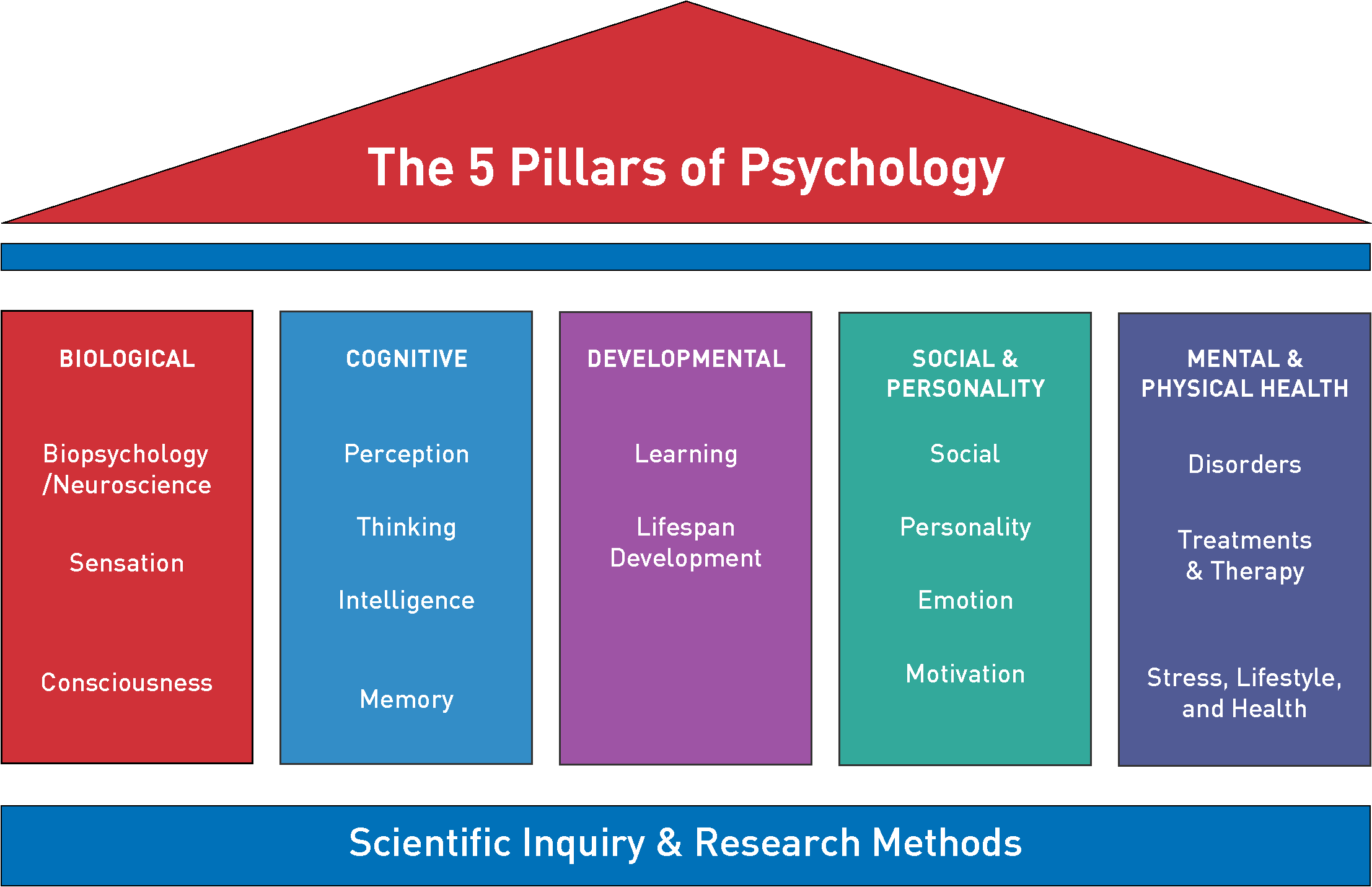 Image of five pillars, showing the biological, cognitive, developmental, social and personality, and mental and physical health.