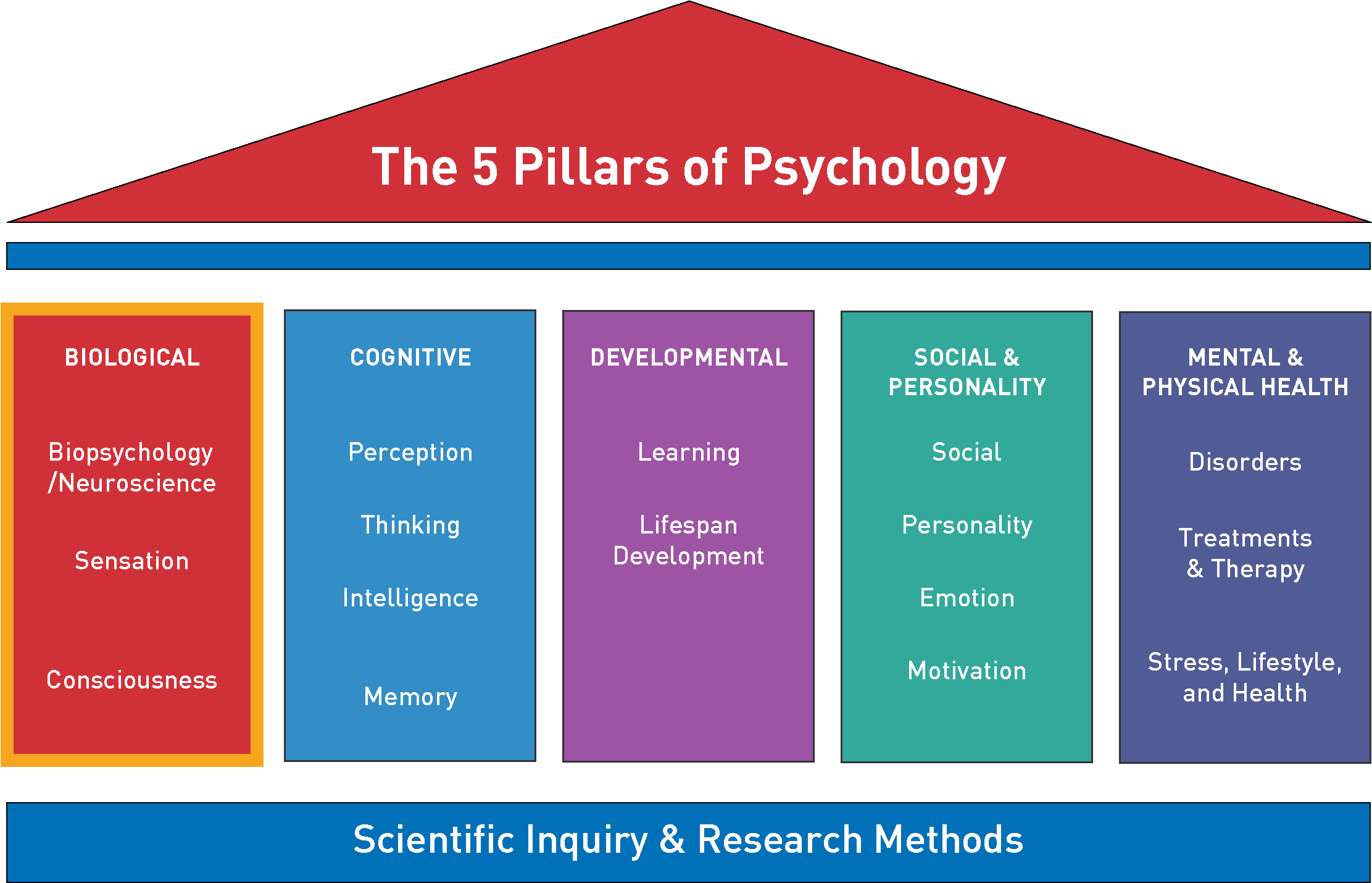 Image of five pillars, showing the biological, cognitive, developmental, social and personality, and mental and physical health.