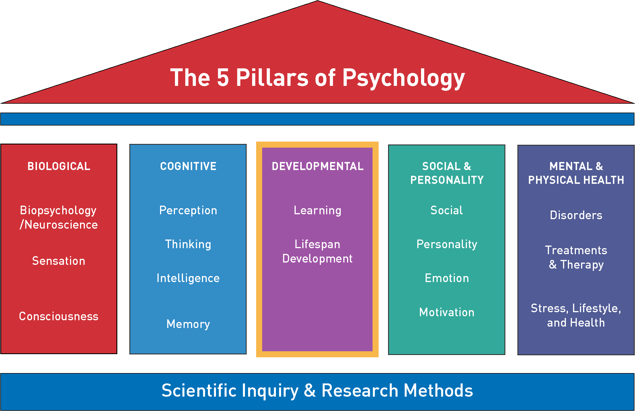 Image of five pillars, showing the biological, cognitive, developmental, social and personality, and mental and physical health.