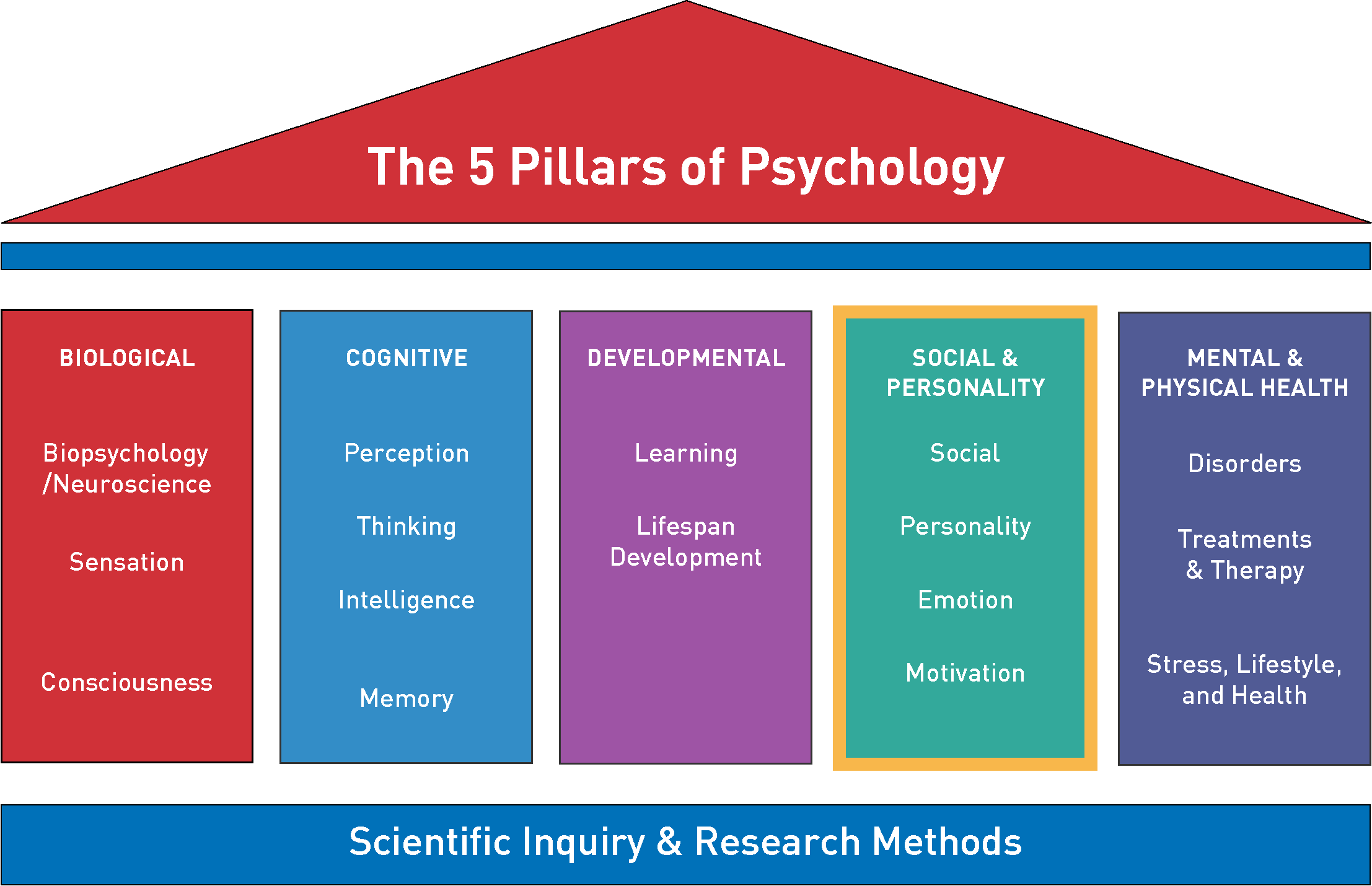 Image of five pillars, showing the biological, cognitive, developmental, social and personality, and mental and physical health.