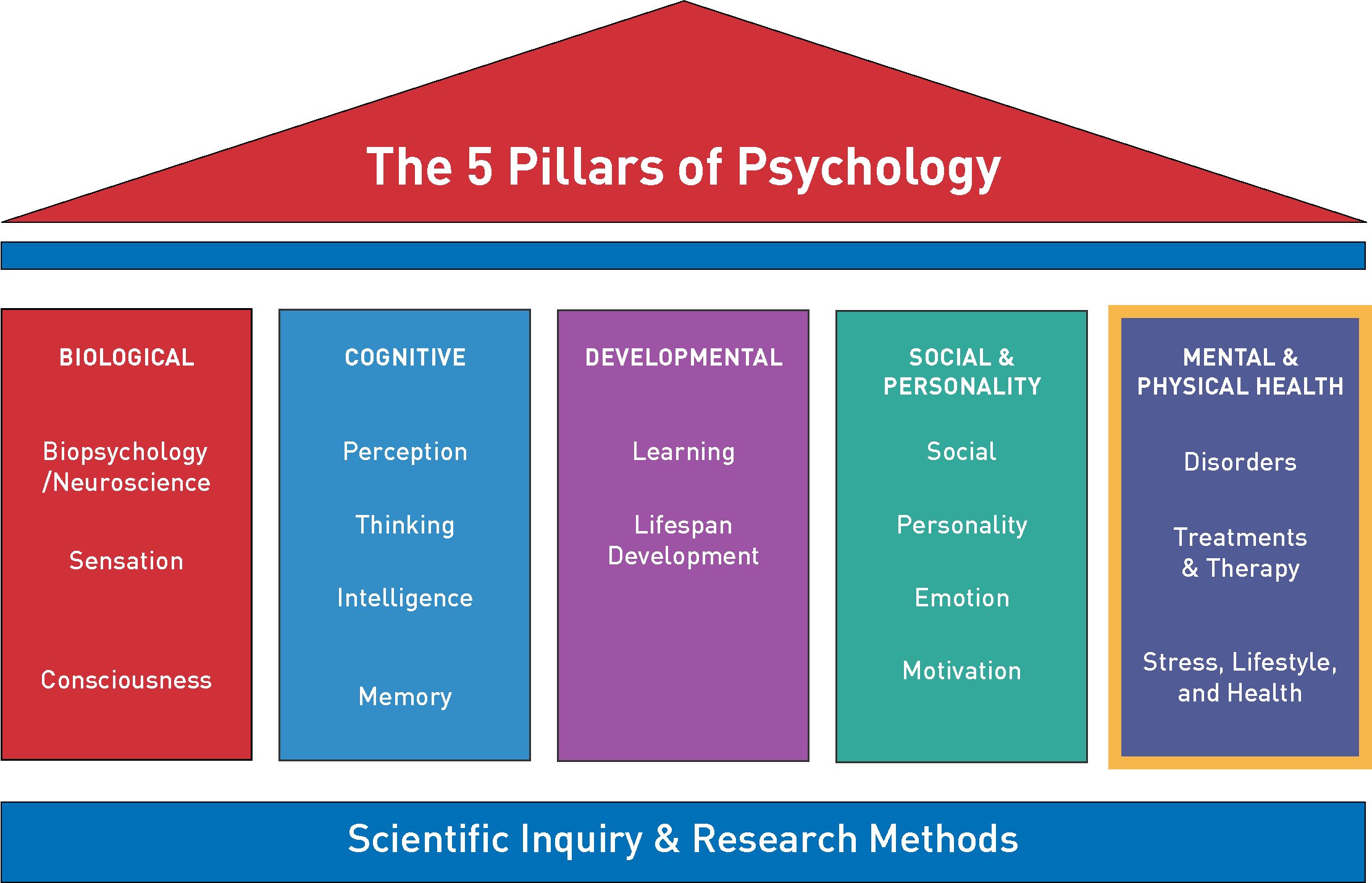 Image of five pillars, showing the biological, cognitive, developmental, social and personality, and mental and physical health.