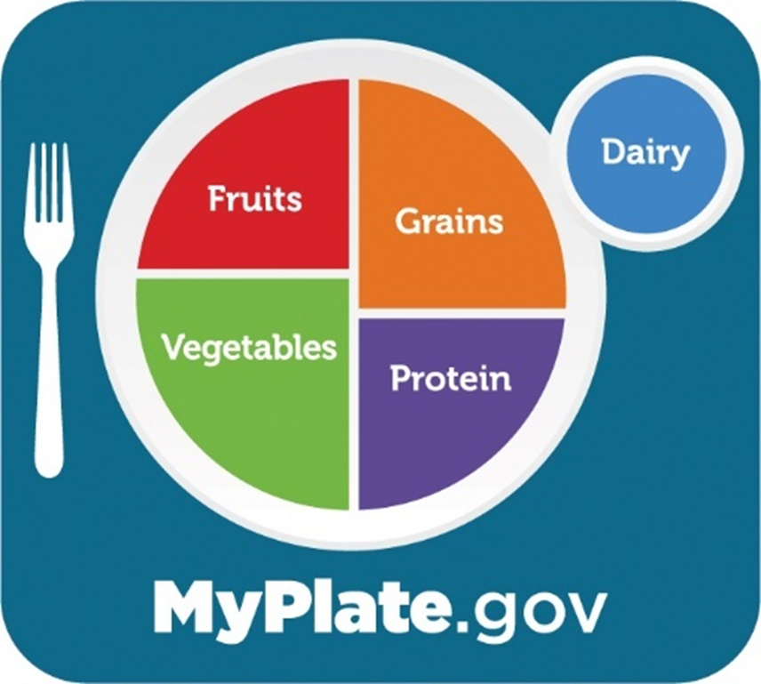 A graphic representing MyPlate dietary guidelines with a plate divided into four sections labeled 'Fruits,' 'Grains,' 'Vegetables,' and 'Protein' along with a small circle labeled 'Dairy' to the top right side and a spoon on the left.