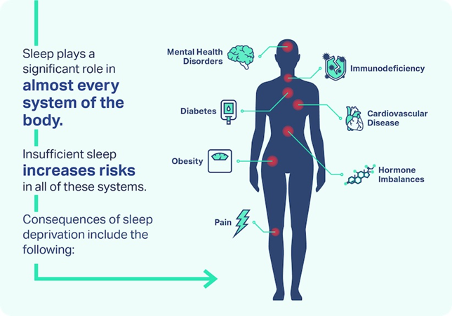 An infographic explaining sleep affects and increases risks in almost every system of the body and showing a human silhouette with labels illustrating health risks from insufficient sleep: mental health disorders, immunodeficiency, cardiovascular disease, diabetes, hormone imbalances, obesity, and pain.