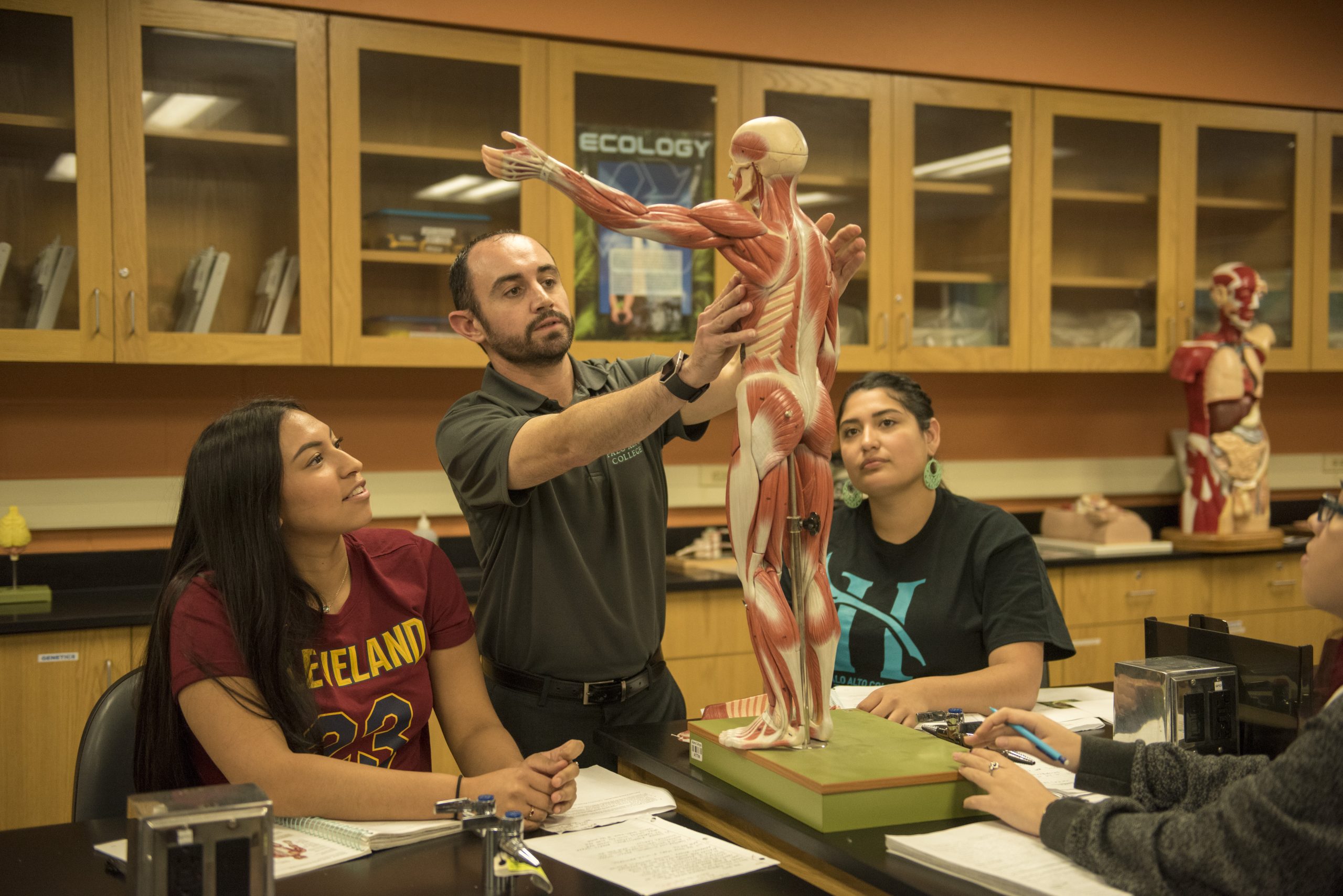 A teacher displays an anatomical model to two students.