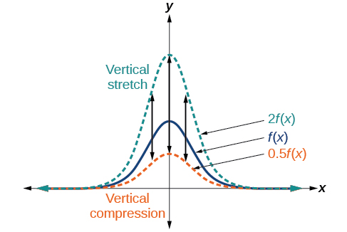 A graph illustrating vertical stretches and compressions of a function. The x-axis and y-axis intersect at the origin (0, 0). Three curves are plotted, all symmetric about the y-axis and centered at x=0. A solid blue curve represents the original function, labeled 'f(x)'. A dashed teal curve, labeled '2f(x)', is vertically stretched compared to f(x), appearing taller and narrower. Vertical arrows point from the blue curve to the teal curve, indicating the vertical stretch. A dashed orange curve, labeled '0.5f(x)', is vertically compressed compared to f(x), appearing shorter and wider. The x-axis extends with arrows in both directions, and the y-axis extends upwards. Labels 'Vertical stretch' in teal and 'Vertical compression' in orange are placed near the respective transformed curves to further clarify the transformations.
